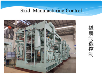 Project Control of Skid